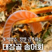 이천 송어 맛집 👍🏻 대장골 송어회 / 포장