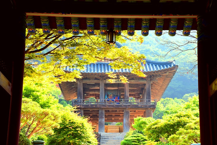 영주 가볼만한곳 풍기역 영주역 봉화역 버스시간표 부석사 : 네이버 블로그