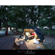 [캠핑] 설악동 야영장에서 피노키오 캠핑장 하얀집까지-달콘달캠