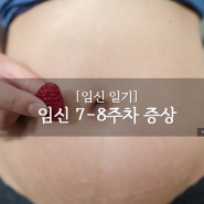 [임신 일기] 임신 7-8주차 증상, 입덧, 두번째 검진