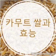 슈퍼곡물 카무트쌀과 카무트효능, 카무트 부작용은 무엇일까?