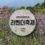 동두천가볼만한곳 서울근교 포천의정부데이트코스 라벤더꽃축제!