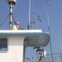 탐구사고력을 위한 블루래빗자연관찰 <바다위를나는갈매기>