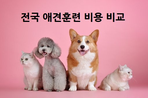 전문 개 훈련 비용은 얼마입니까