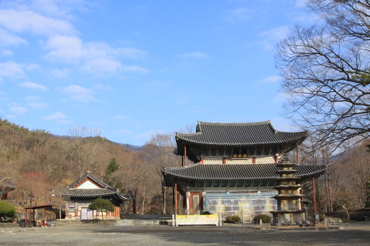 [부여] 김시습의 초상이 있는 만수산 무량사 : 네이버 블로그