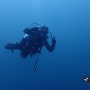제주도다이빙| 블루인다이브 7월 23일 문섬 펀다이빙