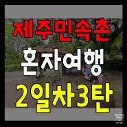 제주 민속촌 탐방 후기 제주도 여행 혼자서 즐기기