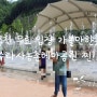 홍천 가볼만한곳 아이들과 [수타사농촌테마공원] 입장료 무료!