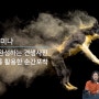 소니 α 랜선 세미나 - 스냅으로 완성하는 견생샷 후기