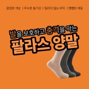 팔라스 양말 후기를 한눈에 살펴보자!