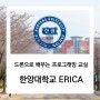 [코딩버드] 한양대학교 ERICA캠퍼스