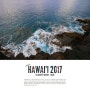 [하와이 자유여행/빅 아일랜드 여행] 카할루우 비치 파크에서 바다거북을 만나다