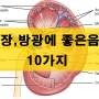 남성 여성 방광염의 원인, 증상, 예방법 [요실금 신장 방광에 좋은 음식 10가지]