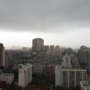 [송송이의 일상 #27] 장마철 하늘은 무서워...비구름 잔뜩 낀 하루