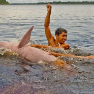 아마존강에서 사는 핑크색 돌고래(분홍 돌고래) 뽀뚜