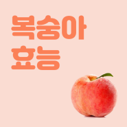 복숭아 효능, 제철에 맘껏 즐겨요!