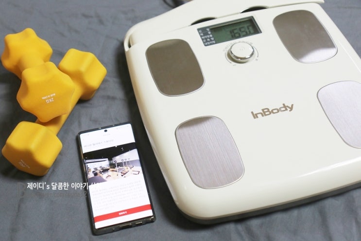 인바디 체중계 체지방에 체성분 측정도 코스트코 추천 상품 : 네이버 블로그