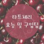타트체리의 효능 및 구입팁(feat.원액과 주스)