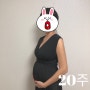 임신 21주 /정밀초음파 배크기