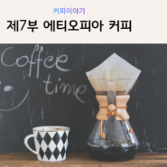[커피공부] 제7부 에티오피아 커피의 특징