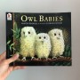 아들 영어 동화책 읽어주기, Owl Babies 추천해요 (feat. 프뢰벨 테마동화)