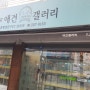 울산 달동 애견 갤러리 분양 용품 호텔 미용 정보