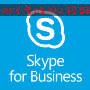 Skype Online 의 은퇴...앞으로 12개월