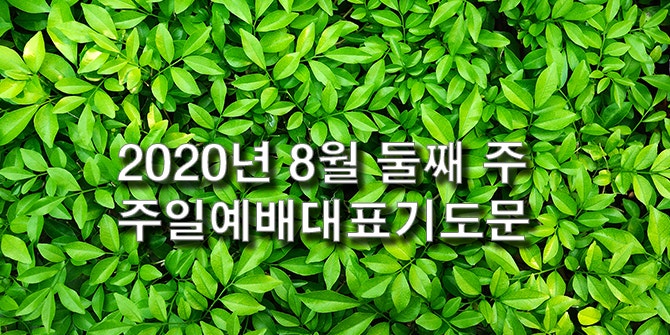 [주일대표기도문] 2020년 8월 둘째 주, 주일예배대표기도문 - 고난의 참 뜻을 묵상하며  드리는 평신도대표기도문 : 네이버 블로그