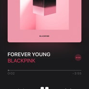 MY 7월의 노래 - 블랙핑크 FOREVER YOUNG
