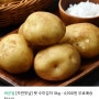 [신세계티비쇼핑] 햇 감자5kg 4900원/무배