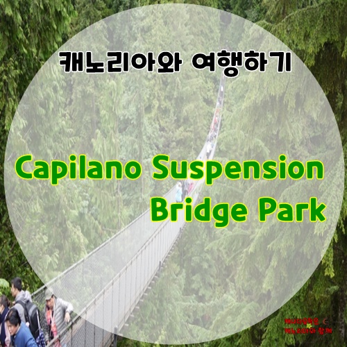 밴쿠버 여행하기 캐필라노 현수교 | Capilano Suspension Bridge Park : 네이버 블로그
