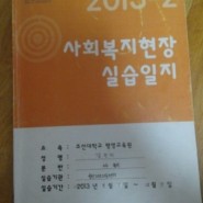 2013-2 조선대학교 평생교육원 사회복지현장실습 후...