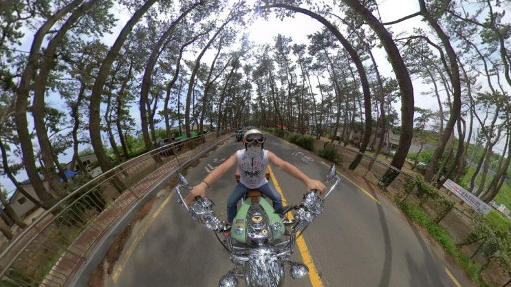 Slow Riders Regular Tour (Gyeongju) : 네이버 블로그