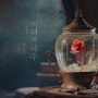 넷플릭스 드라마 추천 < 사이코지만 괜찮아 : 8화 > 미녀와 야수