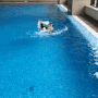 노보텔 앰배서더 서울 용산 수영장후기