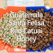 [세웅지씨 스페셜티 생두] Guatemala Santa Felisa Red Catuai Honey