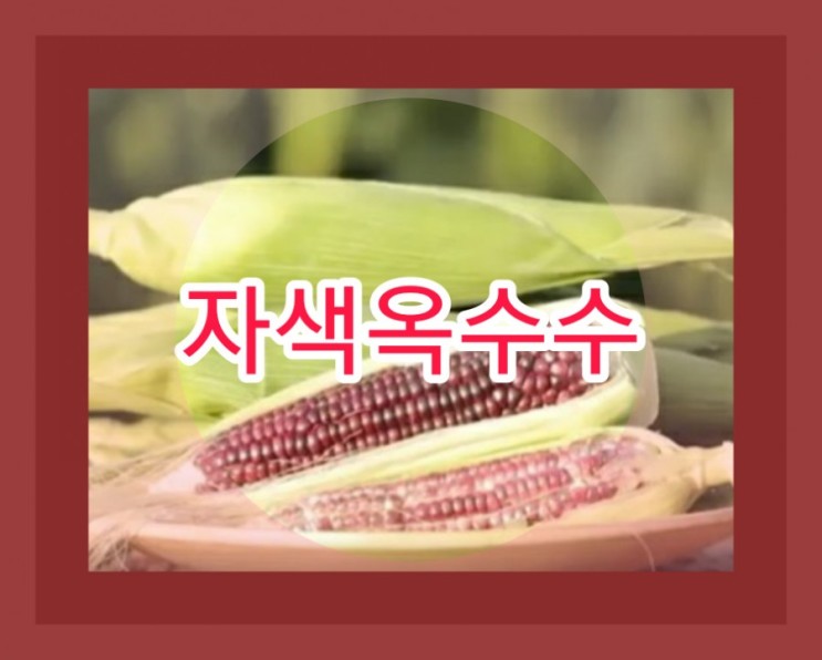 자색옥수수 효능 자색 옥수수수염차 먹는법 : 네이버 블로그