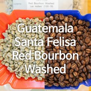 [세웅지씨 스페셜티 생두] Guatemala Santa Felisa Red Bourbon Washed