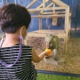 어린 아이들이 놀기 너무 좋은 파주 쥬라리움 키카있는 실내동물원 먹이주기 체험 6시간동안 놀다옴:)