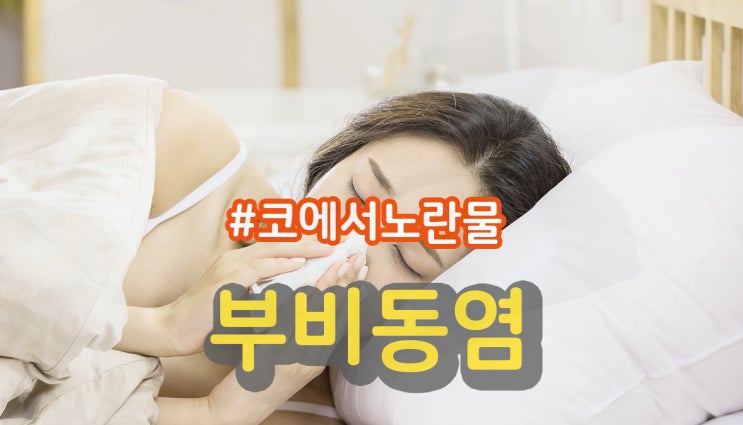 코에서 노란물 나오는데 부비동염 증상관련있나 : 네이버 블로그