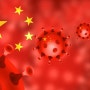 "중국은 어떻게 코로나19를 통제했는가?" - 조영남 교수