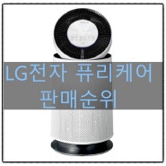 LG전자퓨리케어 쇼핑순위