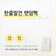 ★한줄발견 랜덤팩 출시~!!(+스페셜 신상 스티커 포함)