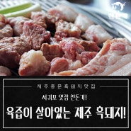 서귀포맛집 육즙이 살아있는 제주 흑돼지