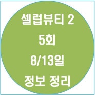 셀럽뷰티 2 이시영 미스트 이유비 지민 와플 클렌징 패드 쿠션 5회 정리