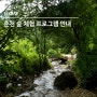[엘리시안 강촌] 춘천 자연 숲 체험 무료 프로그램 신청 안내