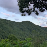 의령백숙 하리맛집 꽃피는산골 기가막히네