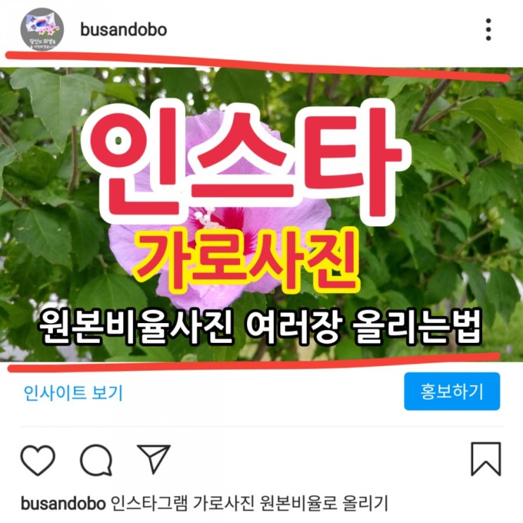 인스타 가로사진 올리는법, 인스타가로사진 여러장올리는법! 인스타가로동영상 올리는법/인스타사진여러장 올리는법 응용! instasize 어플없어도 되요! 부산걷기왕 스마트폰강좌. : 네이버 블로그