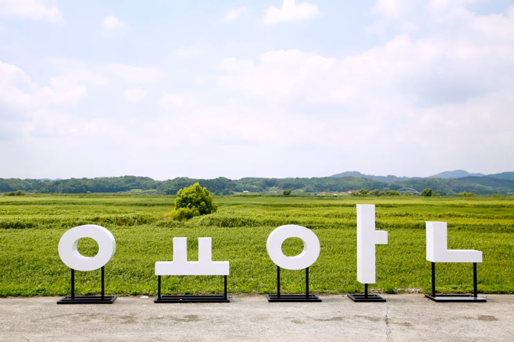 익산 가볼만한 곳~ 용안생태습지공원 7월 수련꽃 활짝 피던 날...