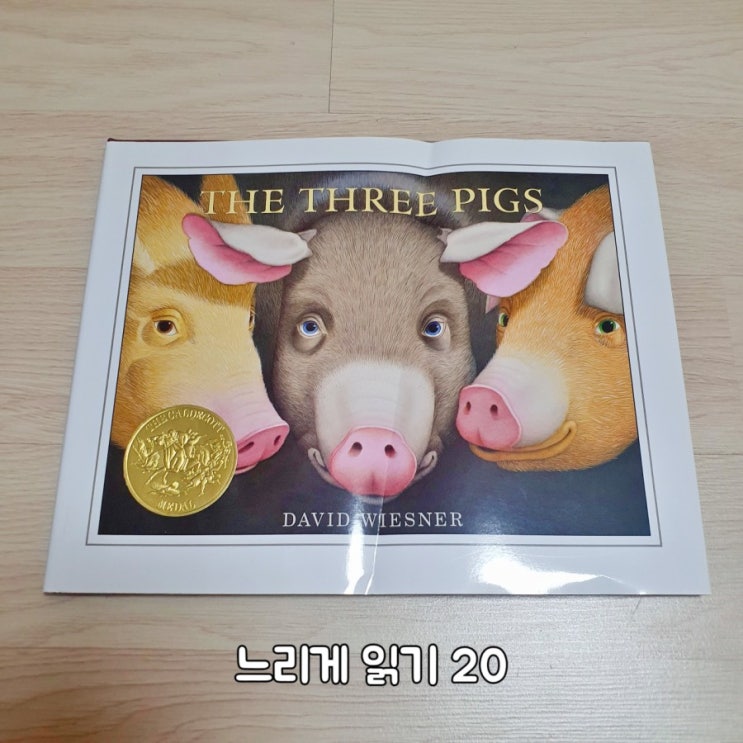 느리게 100권 읽기 THE THREE PIGS by David Wiesner 돼지 세 마리 : 네이버 블로그